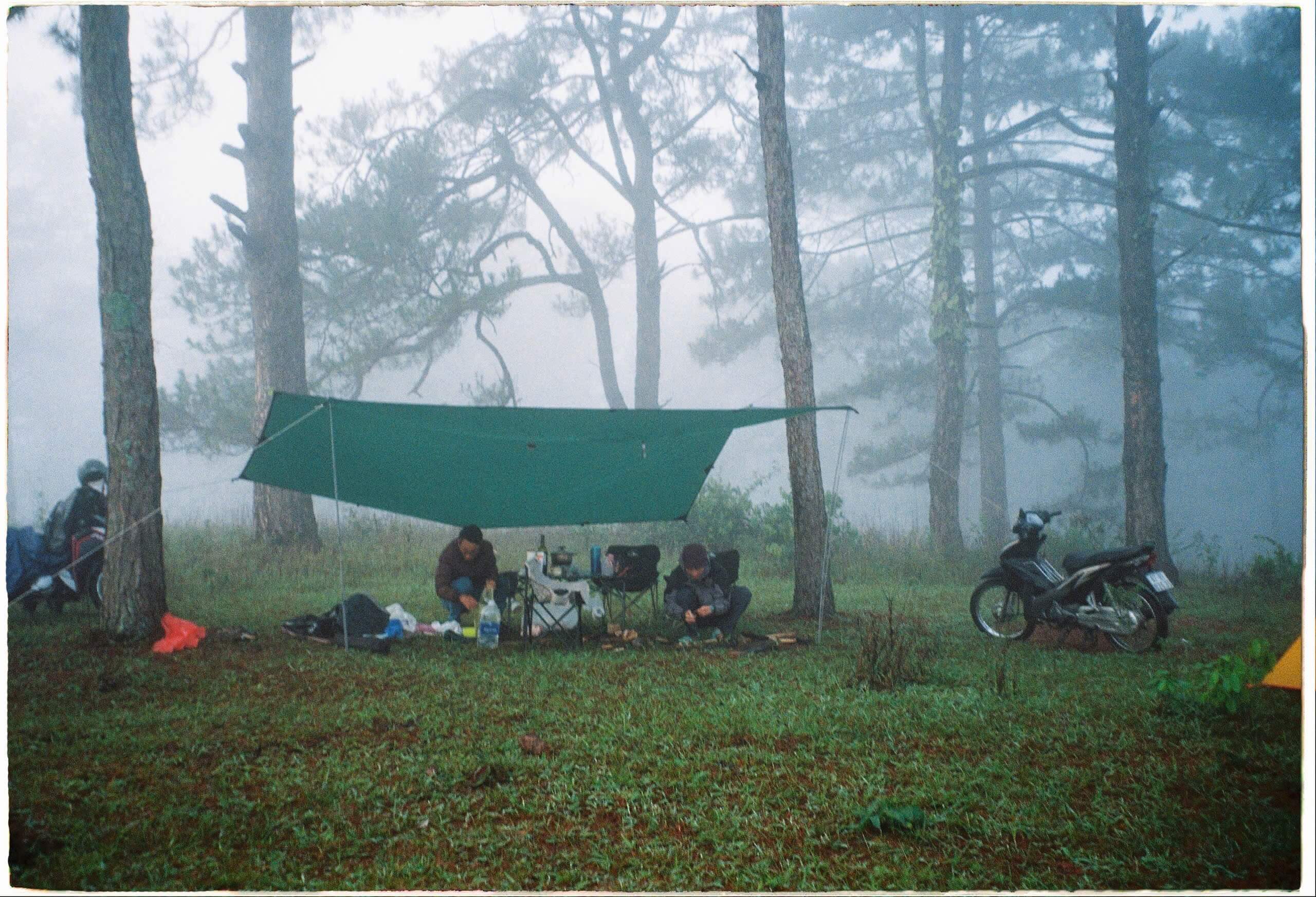 «Pine Hill» Camping Tour 🌲